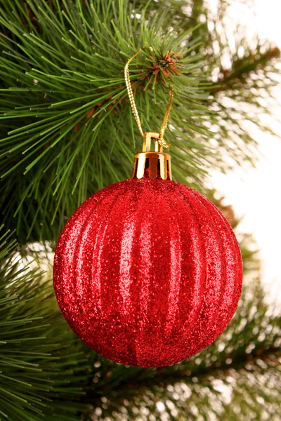 크리스마스 볼 리본 전나무 나무에 매달려 — 스톡 사진