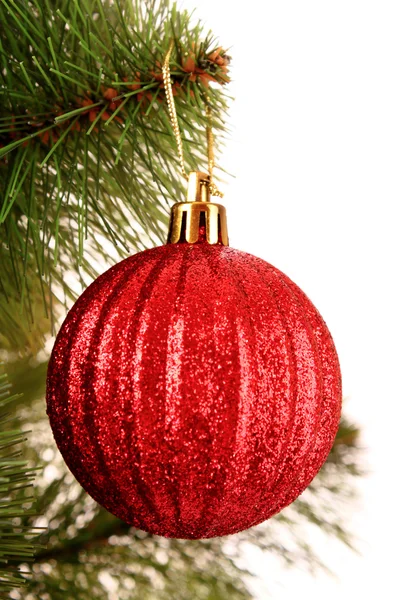 Palle di Natale appese con nastri su abete — Foto Stock
