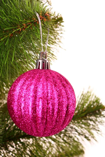 Christmas balls hanging with ribbons on fir tree — Stock Photo, Image