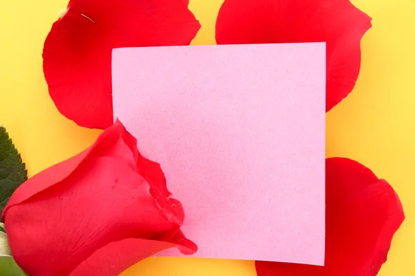 Σημειώστε με τριαντάφυλλο σε πορτοκαλί φόντο — Φωτογραφία Αρχείου