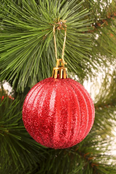 Christmas balls hanging with ribbons on fir tree — Stock Photo, Image