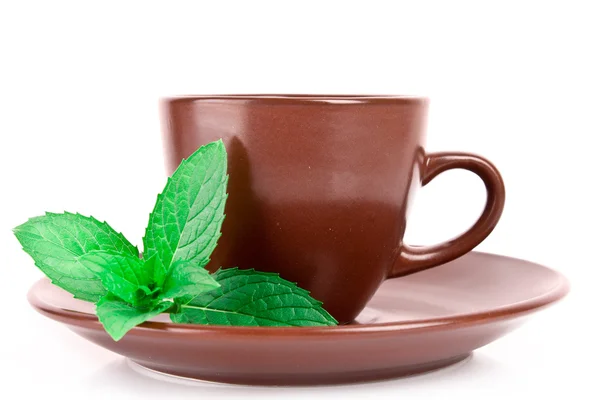 Чашка зеленого чаю на блюдці з м'ятою ізольовані на білому — стокове фото