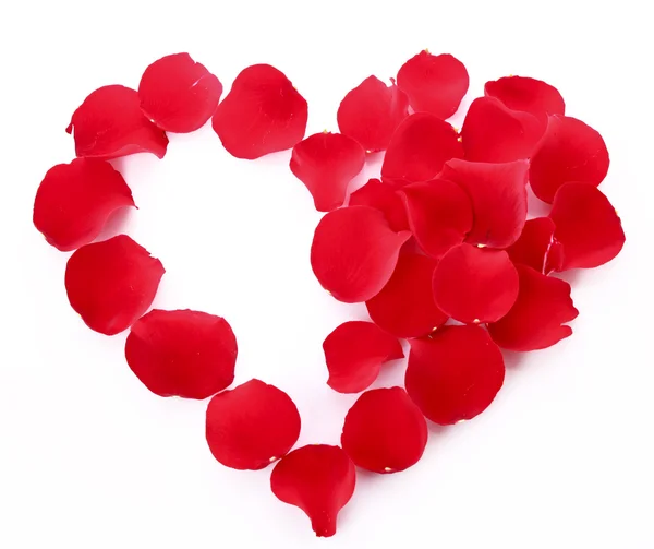 Růží v izolované na bílém symbol srdce — Stock fotografie