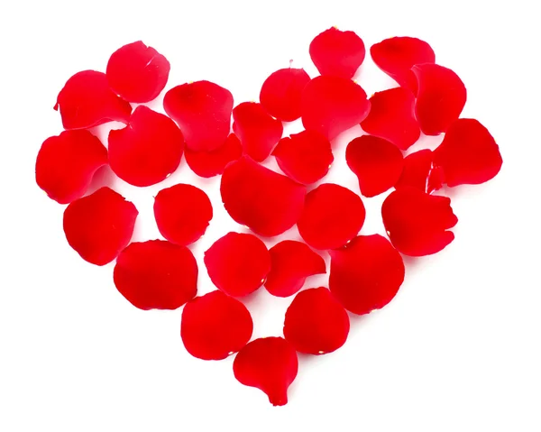Rosenblätter im Herzsymbol isoliert auf weiß — Stockfoto