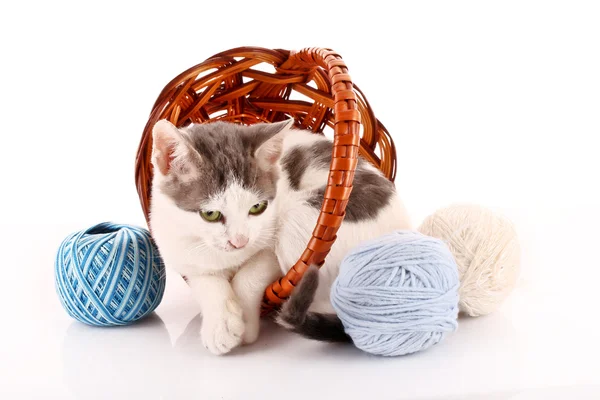 Cat in basket and wool ball isolated on white — Stock Photo, Image