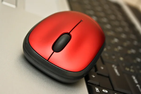 Laptop klavye arka plan üzerinde kırmızı fare — Stok fotoğraf