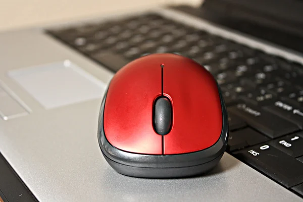 Ratón rojo en el fondo del teclado portátil —  Fotos de Stock