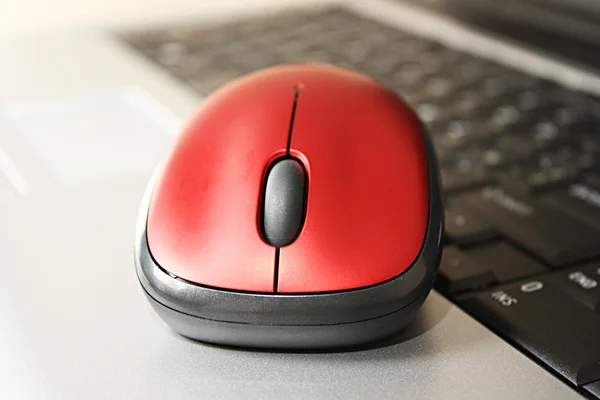 Ratón rojo en el fondo del teclado portátil — Foto de Stock