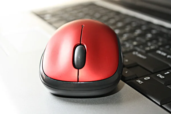 Red mouse on laptop keyboard background