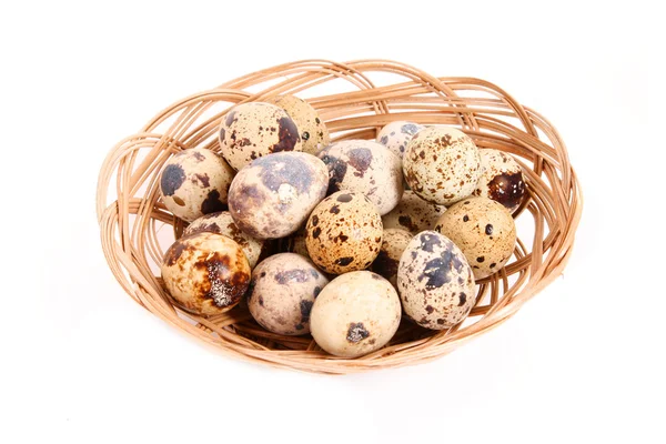 Group of spotted quail eggs in the braided backet isolated in wh — Stock Photo, Image