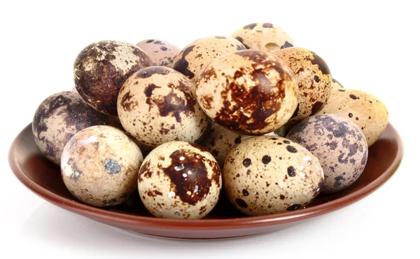 Group of spotted quail eggs in the plate isolated in white — Stock Photo, Image