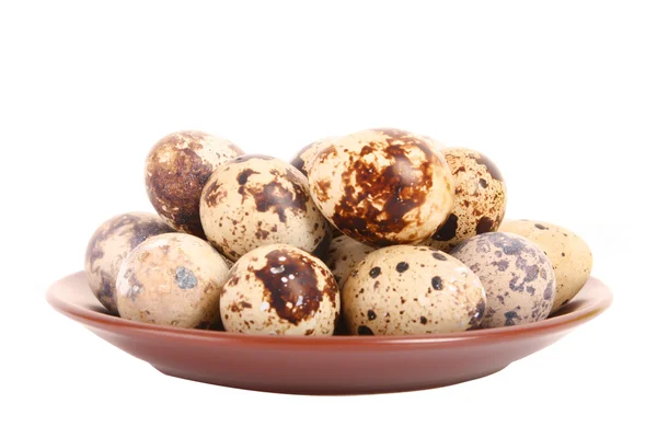 प्लेट में स्पॉट किए गए कुंडली अंडे का समूह सफेद में अलग — स्टॉक फ़ोटो, इमेज