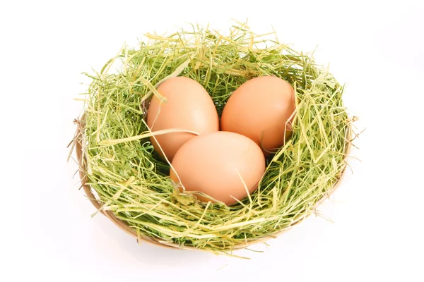 Tres huevos de gallina marrón en el nido cubierto de hierba aislado en blanco —  Fotos de Stock