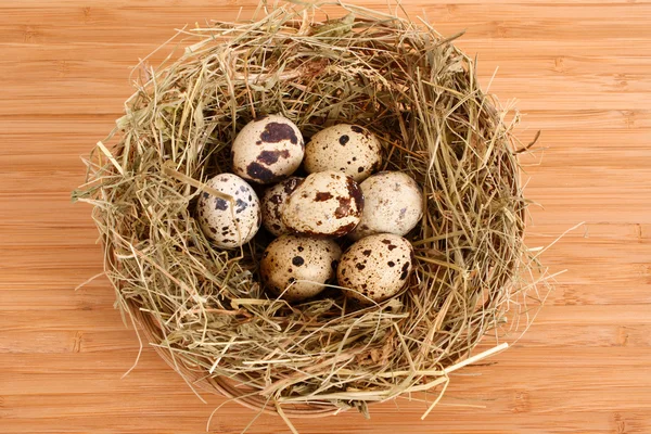 Huevos de codorniz en heno — Foto de Stock