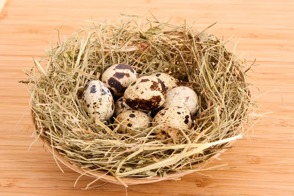 Bıldırcın yumurtası saman içinde — Stok fotoğraf