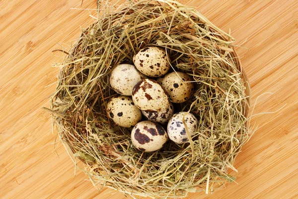 Ovos de codorniz em feno — Fotografia de Stock