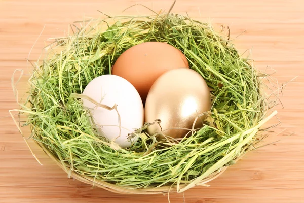 Uovo di gallina bruna, bianca e dorata nel nido erboso sul bosco — Foto Stock