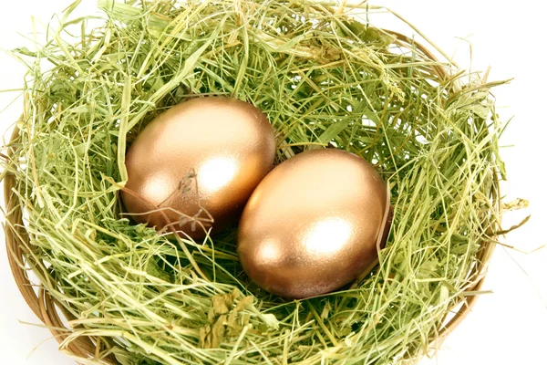 İki altın tavuk yumurta beyaz izole çimenli yuvaya — Stok fotoğraf