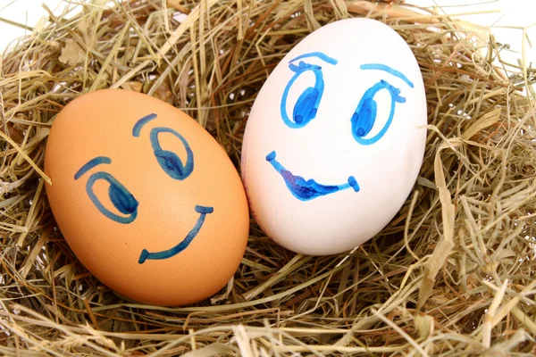Пара куриных яиц с лицами в травянистом гнезде — стоковое фото