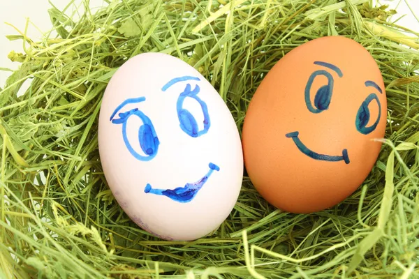 Couple of hen's eggs with faces in the grassy nest — Stock Photo, Image