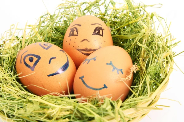 Skupina z hnědé slepičí vejce s různými tvářemi v hnízdě isola — Stock fotografie