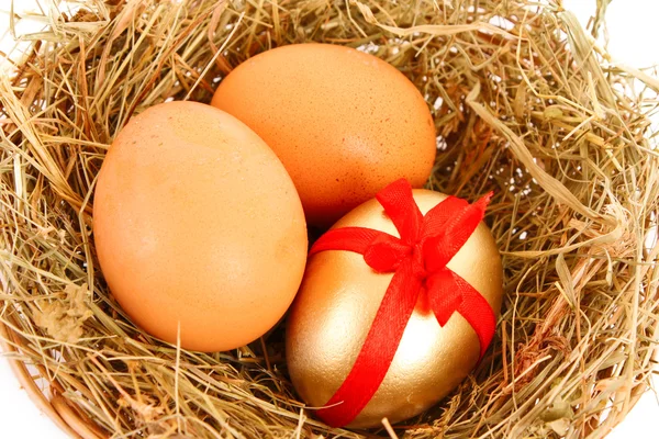 Kahverengi, beyaz ve altın tavuk yumurta çimenli yuvaya — Stok fotoğraf
