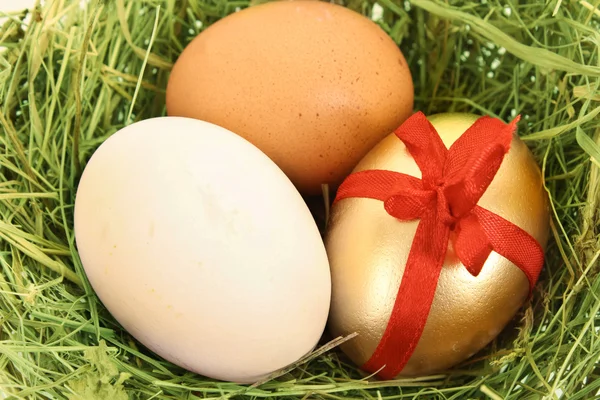 Коричневое, белое и золотое куриное яйцо в травянистом гнезде — стоковое фото