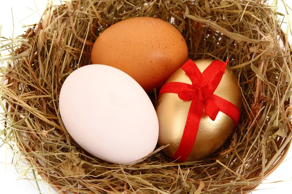 Huevo de gallina marrón, blanco y dorado en el nido herboso — Foto de Stock