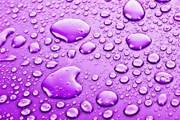 Violet gouttes d'eau fond — Photo
