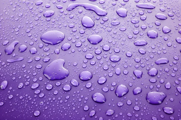 Violet gouttes d'eau fond — Photo