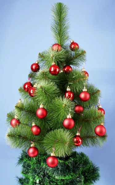 Christmas tree with glass red balls Stock Image