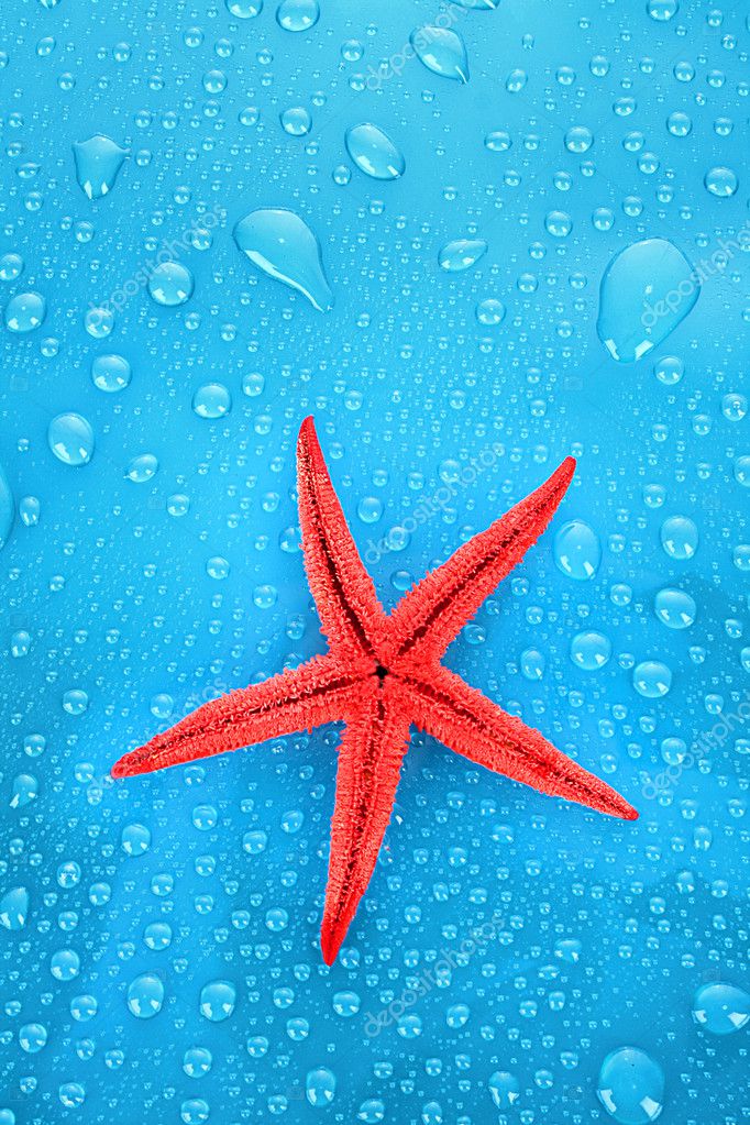 Starfish on blue background with water drops — Stock Photo © belchonock