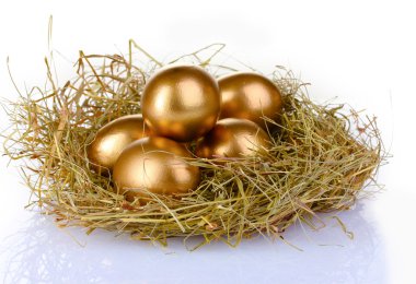 Yuvadaki altın yumurtalar