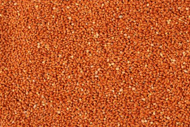 Unpilled millet as texture clipart