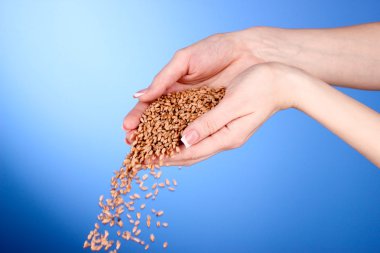 Women's hands are sowing seed on blue background clipart