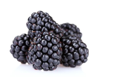 Beautiful blackberries