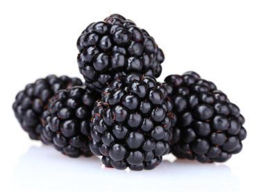 Beautiful blackberries