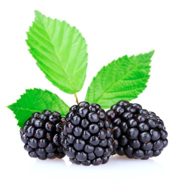 Beautiful blackberries