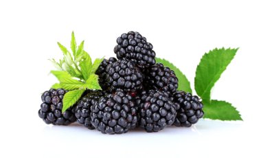 Beautiful blackberries