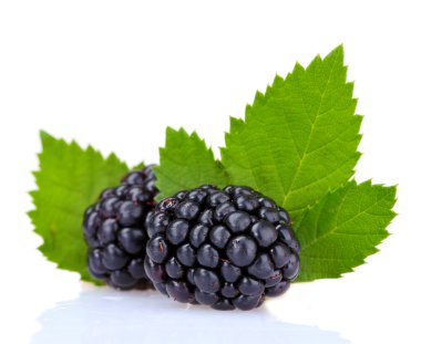 Beautiful blackberries