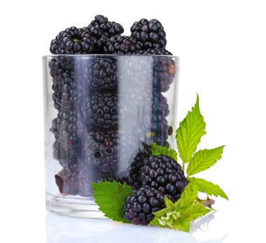 Beautiful blackberries