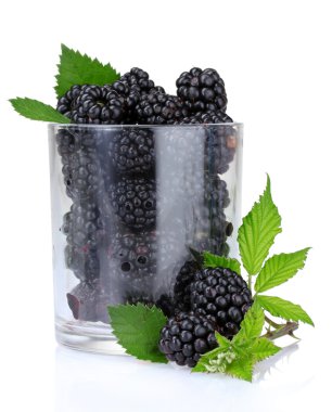 Beautiful blackberries