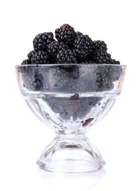 Beautiful blackberries