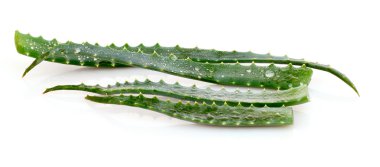 aloe vera üzerinde beyaz izole