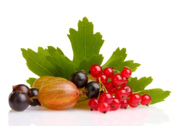 çilek ve yaprak üzerinde beyaz izole