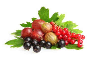 lezzetli taze yaz meyveleri