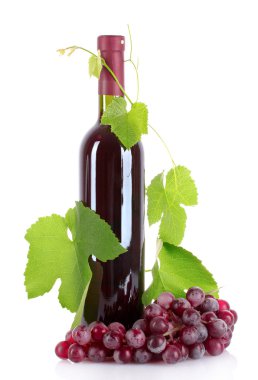 şişe şarap ve üzüm üzerine beyaz izole