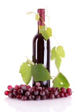 şişe şarap ve üzüm üzerine beyaz izole