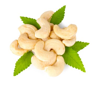 Cashew nuts clipart