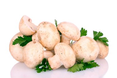 champignon üzerinde beyaz izole maydanoz ile